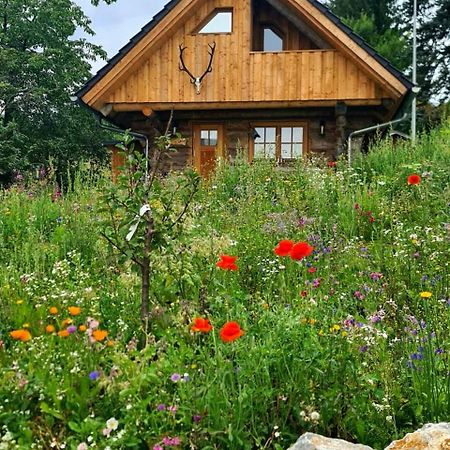 Blockhaus Panhuette Villa Braunlage Dış mekan fotoğraf