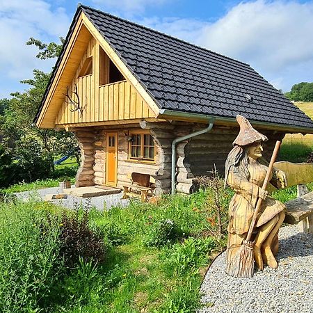 Blockhaus Panhuette Villa Braunlage Dış mekan fotoğraf