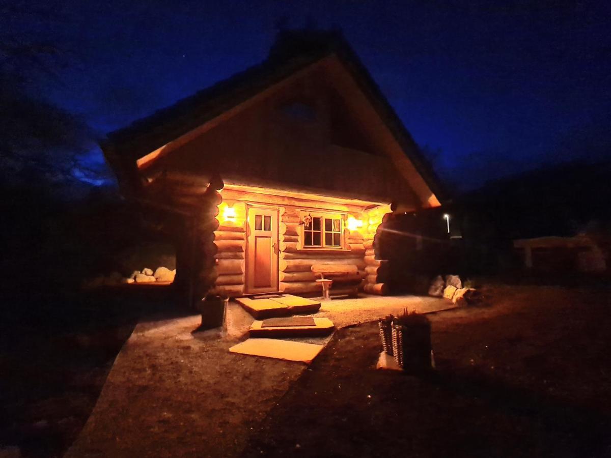 Blockhaus Panhuette Villa Braunlage Dış mekan fotoğraf