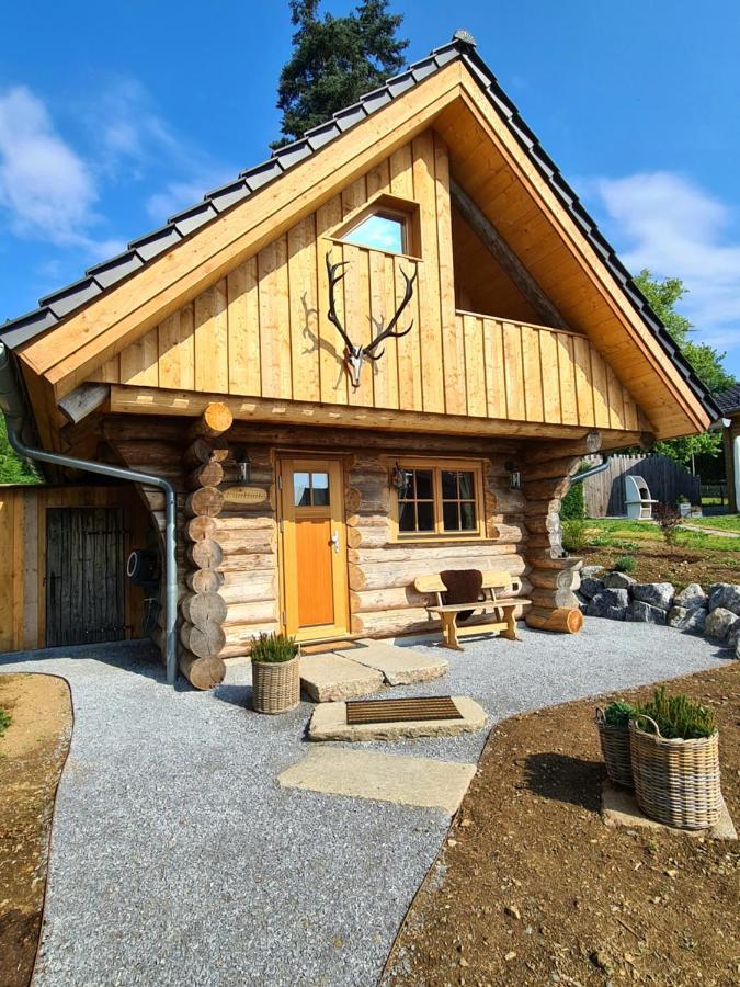 Blockhaus Panhuette Villa Braunlage Dış mekan fotoğraf
