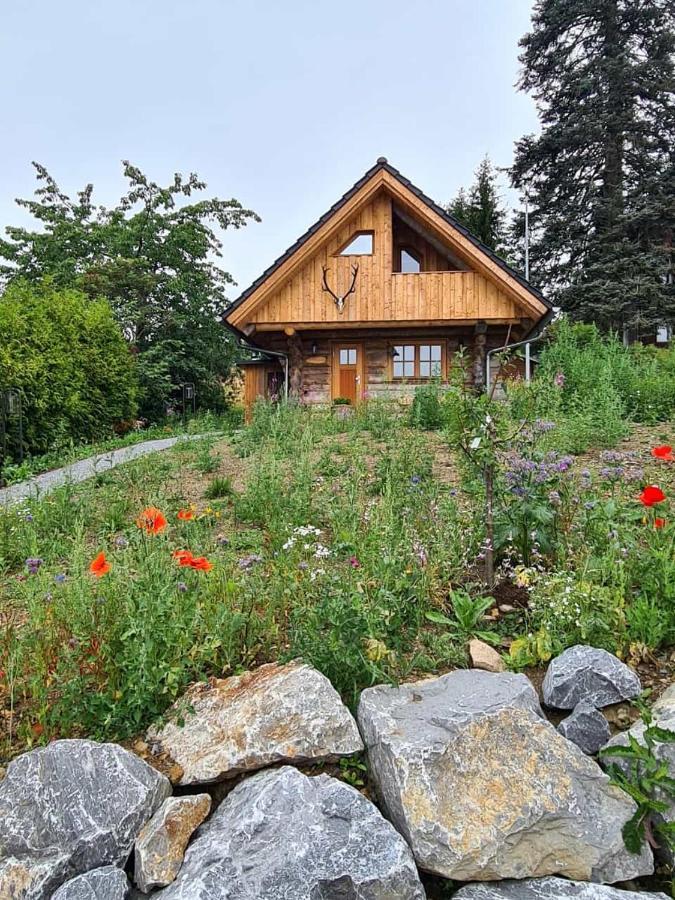 Blockhaus Panhuette Villa Braunlage Dış mekan fotoğraf