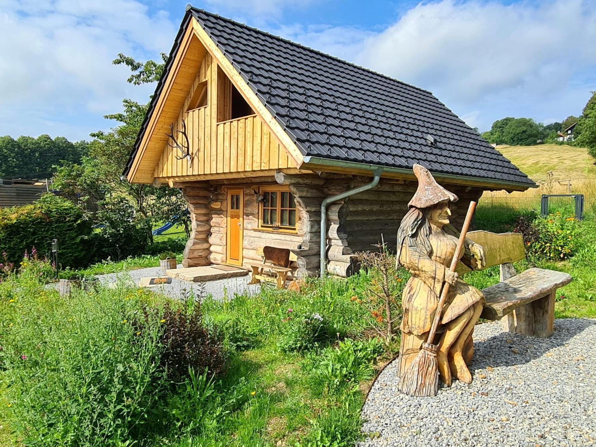 Blockhaus Panhuette Villa Braunlage Dış mekan fotoğraf